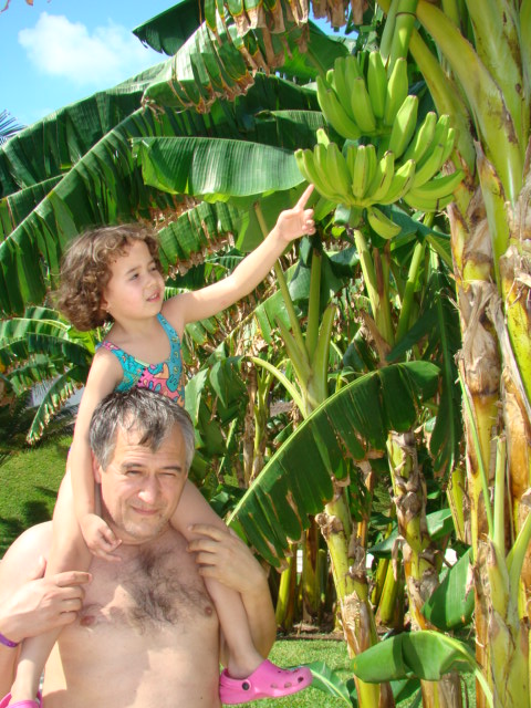 Mexico 2008 124.jpg