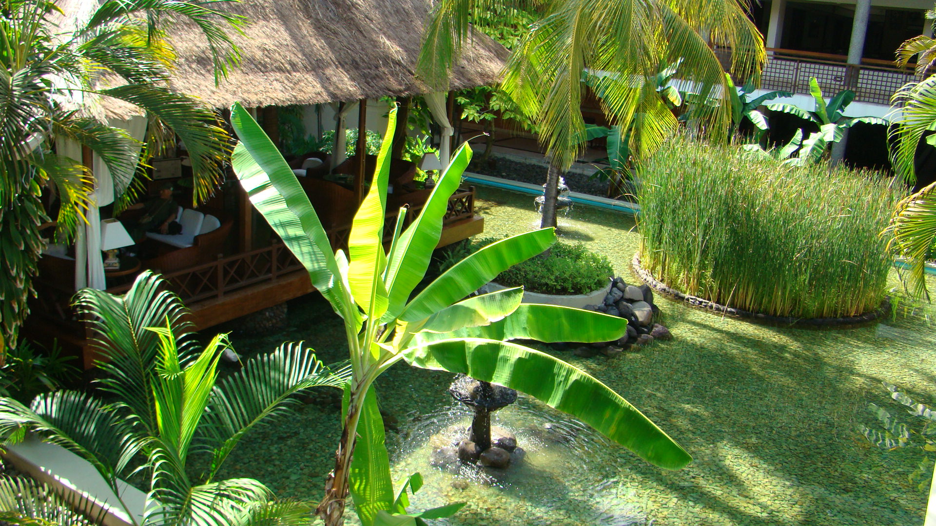 25.02.2010 - Bali 042.jpg