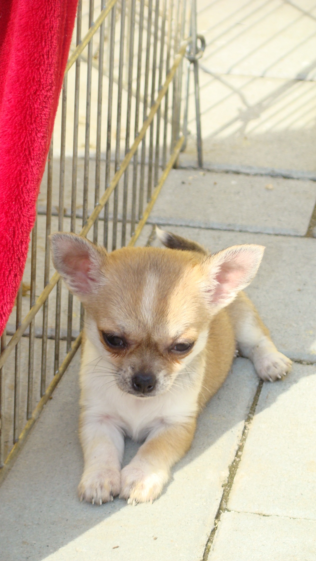 24.04.2010 007.jpg